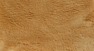Polster Plüsch, dunkelbeige, Flor 20 mm